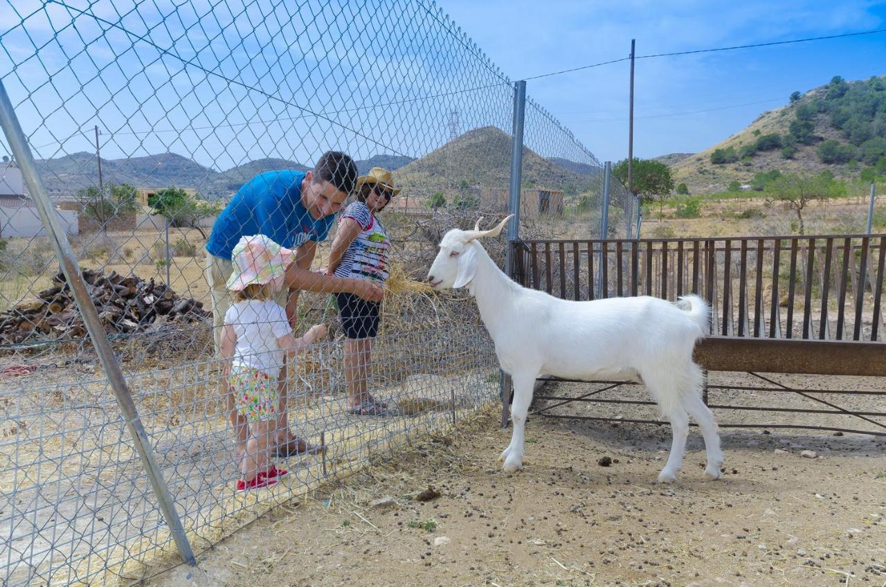 Finca Liarte Konuk evi Fuente Alamo  Dış mekan fotoğraf