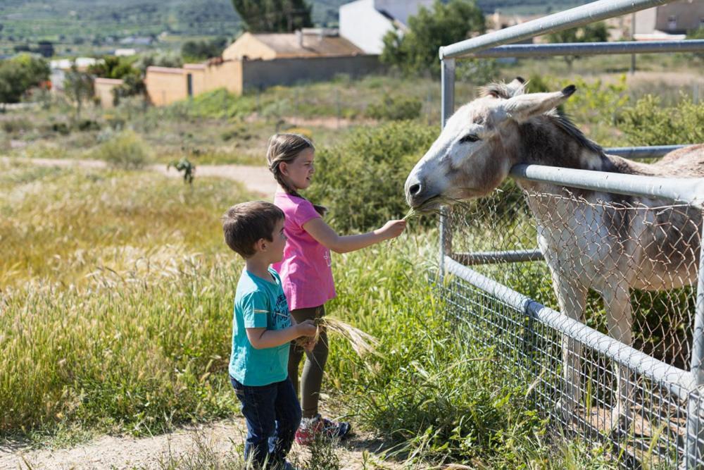 Finca Liarte Konuk evi Fuente Alamo  Dış mekan fotoğraf